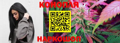 бошки Донской
