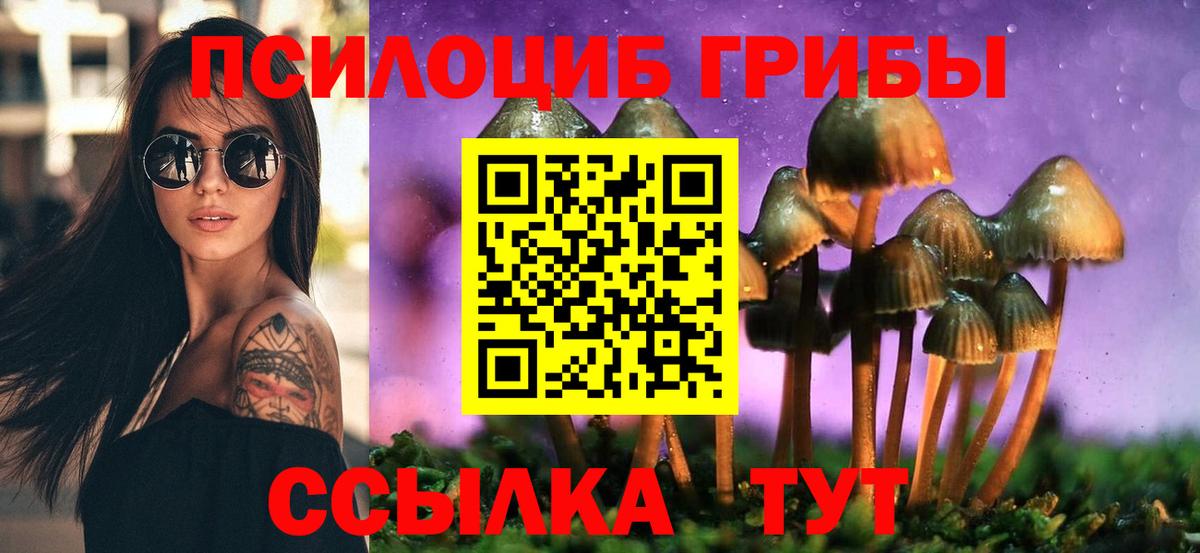 Галлюциногенные грибы Psilocybine cubensis Лянтор