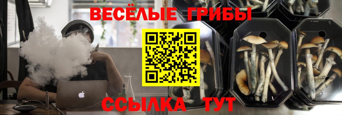 Галлюциногенные грибы Cubensis  Псилоцибиновые грибы прущие грибы  Лянтор  Вход с VPN 